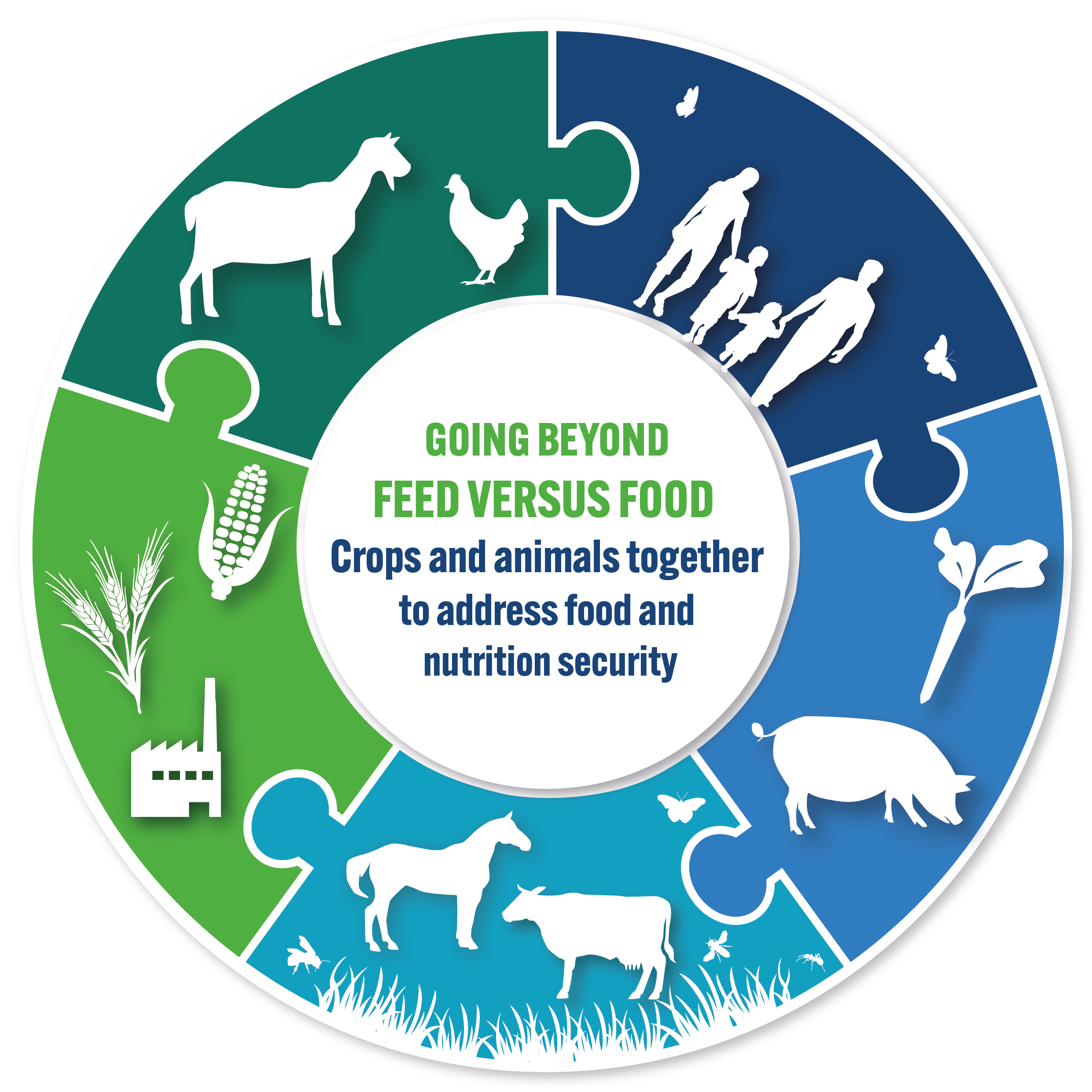 Animal Taskforce > Topics > Feed vs Food Competition
